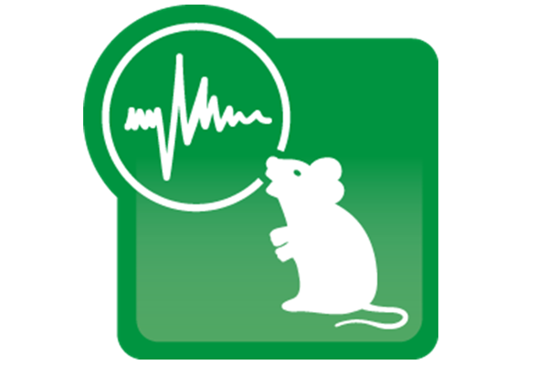 WebMAUS Logo