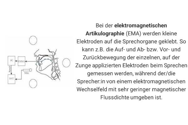 Bei der elektromagnetischen Artikulographie (EMA) werden kleine Elektroden auf die Sprechorgane geklebt. So kann z.B. die Auf- und Ab- bzw. Vor- und Zurückbewegung der einzelnen, auf der Zunge applizierten Elektroden beim Sprechen gemessen werden, während der/die Sprecher:in von einem elektromagnetischen Wechselfeld mit sehr geringer magnetischer Flussdichte umgeben ist.