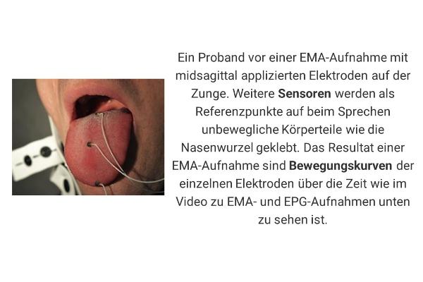 Ein Proband vor einer EMA-Aufnahme mit midsagittal applizierten Elektroden auf der Zunge. Weitere Sensoren werden als Referenzpunkte auf beim Sprechen unbewegliche Körperteile wie die Nasenwurzel geklebt. Das Resultat einer EMA-Aufnahme sind Bewegungskurven der einzelnen Elektroden über die Zeit wie im Video zu EMA- und EPG-Aufnahmen unten zu sehen ist.