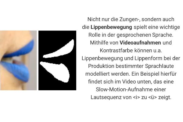 Nicht nur die Zungen-, sondern auch die Lippenbewegung spielt eine wichtige Rolle in der gesprochenen Sprache. Mithilfe von Videoaufnahmen und Kontrastfarbe können u.a. Lippenbewegung und Lippenform bei der Produktion bestimmter Sprachlaute modelliert werden. Ein Bsp. hierfür findet sich im Video unten, das eine Slow-Motion-Aufnahme einer Lautsequenz von <i> zu <ü> zeigt.