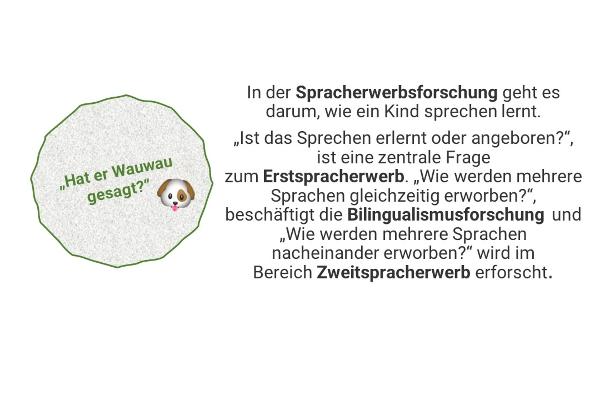 "Hat er Wauwau gesagt?" - In der Spracherwerbsforschung geht es darum, wie ein Kind sprechen lernt. „Ist das Sprechen erlernt oder angeboren?“, ist eine zentrale Frage zum Erstspracherwerb. „Wie werden mehrere Sprachen gleichzeitig erworben?“, beschäftigt die Bilingualismusforschung und „Wie werden mehrere Sprachen nacheinander erworben?“ wird im Bereich Zweitspracherwerb erforscht.