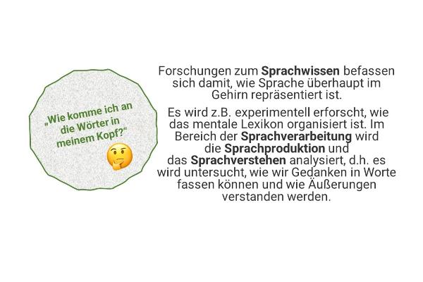 "Wie komme ich an die Wörter in meinem Kopf?" - Forschungen zum Sprachwissen befassen sich damit, wie Sprache überhaupt im Gehirn repräsentiert ist. Es wird z.B. experimentell erforscht, wie das mentale Lexikon organisiert ist. Im Bereich der Sprachverarbeitung wird die Sprachproduktion und das Sprachverstehen analysiert, d.h. es wird untersucht, wie wir Gedanken in Worte fassen können und wie Äußerungen verstanden werden.