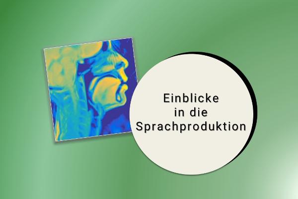Einblicke in die Sprachproduktion - Bild eines Echtzeit-MRTs