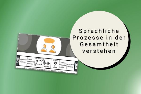 Sprachliche Prozesse in der Gesamtheit verstehen - Diagramm des ´signalphonetischen Bandes´