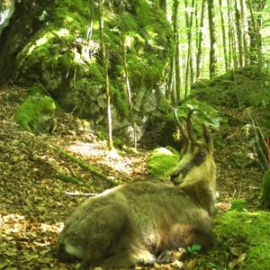 Nationalpark Berchtesgaden.