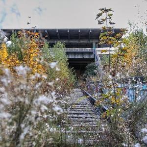 The disused S-Bahn Station “Pressestadt” (Fall 2020).