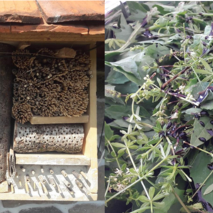 Insect hotel.