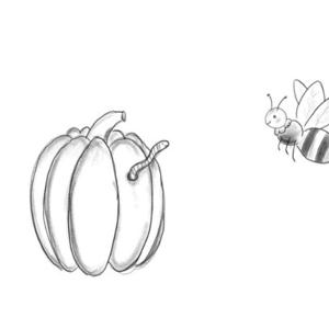 Sketch of an apple, a worm, and a bee.