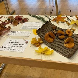 Mushrooms on Display at Dr. Pouliot’s Workshop.