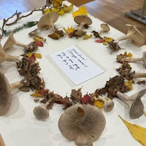 “Why Do Some Fungi Form Fairy Rings?” at Dr. Pouliot’s Workshop.