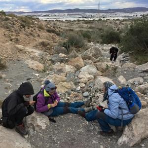 Investigating the ground.