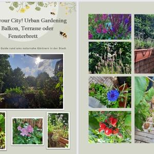 Image guide to rewilding gardens.
