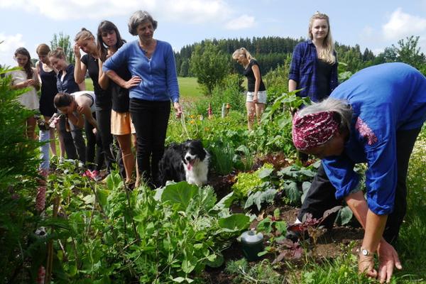 Alternative Agricultures: Permaculture Workshop.