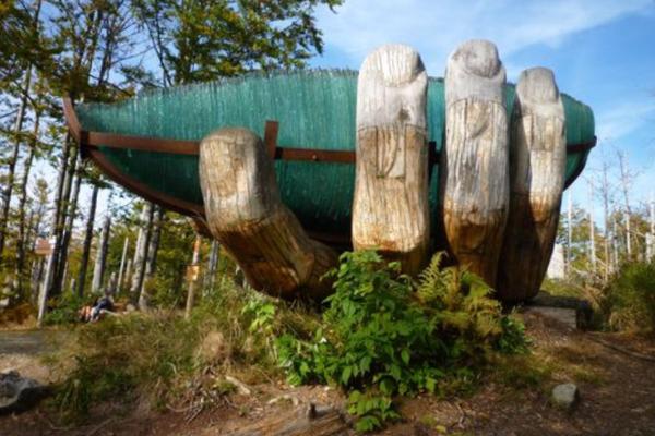 National Parks in Bavaria: Environment—History—Politics.