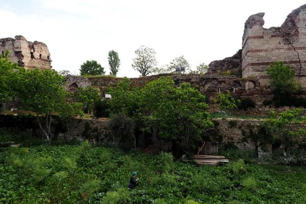 Istanbul´s urban gardens.