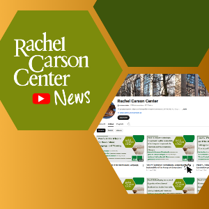 News graphic for RCC YT videos.