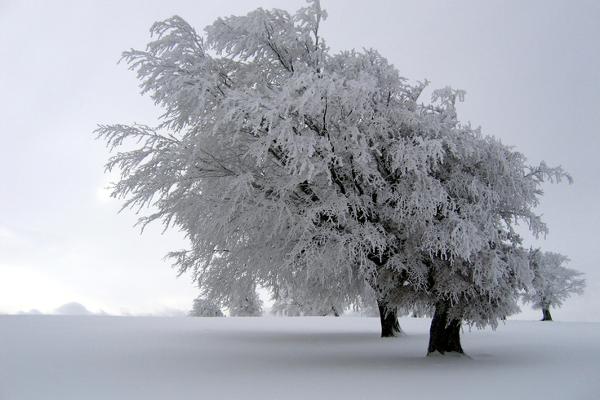 Winter Workshop: Research Design in Environmental Studies.
