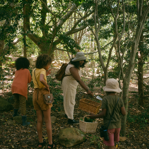 Teaching nature.