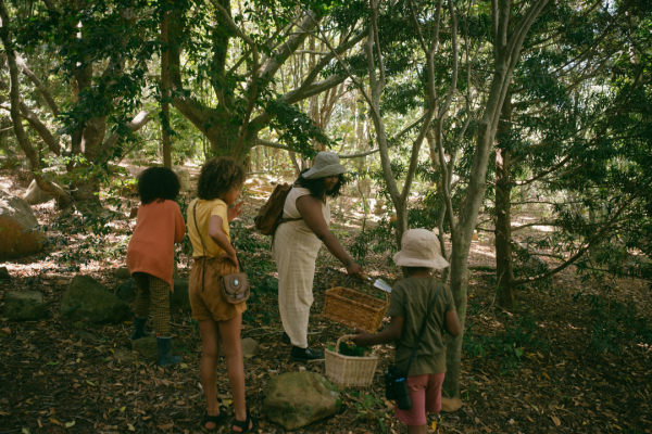 Teaching nature.