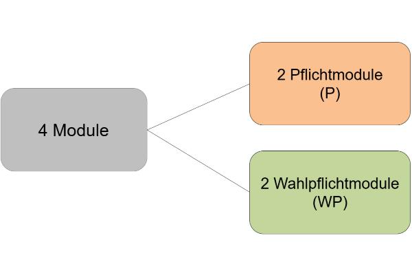 Diagramm: Vier Module in SLK: zwei Pflichtmodule (P1 und P2) und zwei Wahlpflichtmodule (WP)