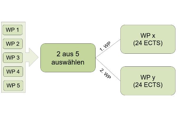 Diagramm: Zwei von fünf Wahlfplichtmodulen