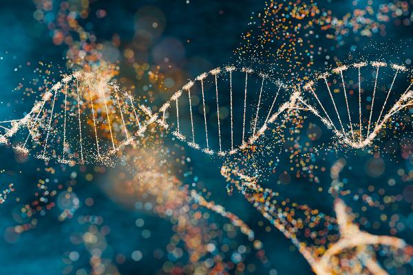 A DNA double helix composed of glowing golden and blue dots set against a dark, blurry background | © iStock A DNA double helix composed of glowing golden and blue dots set against a dark, blurry background