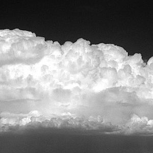 Markus Garhammer, Experimentelle Meteorologie, LMU München