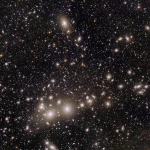 Euclid's view of the Perseus Galaxy Cluster