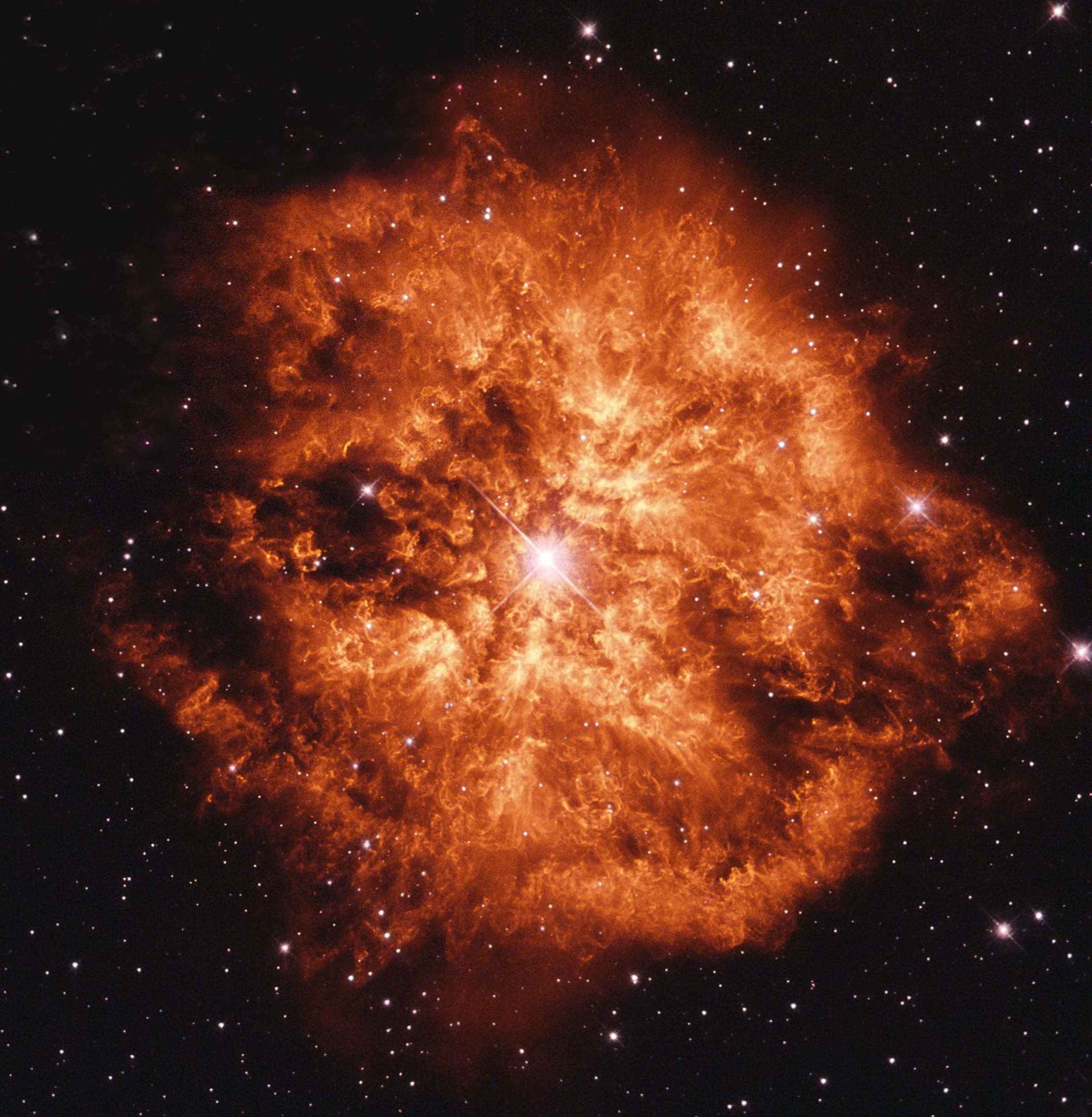 Wolf-Rayet Stern 124