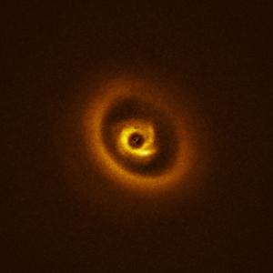 Planeten-bildende Scheibe um Stern RIK 113