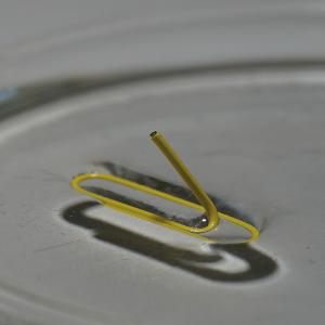 Schwimmende Büroklammer auf Wasser (Oberflächenspannung)