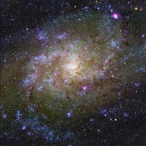 Dreiecksnebel (Triangulumgalaxie, Messier 33) aufgenommen am Wendelsteinobservatorium