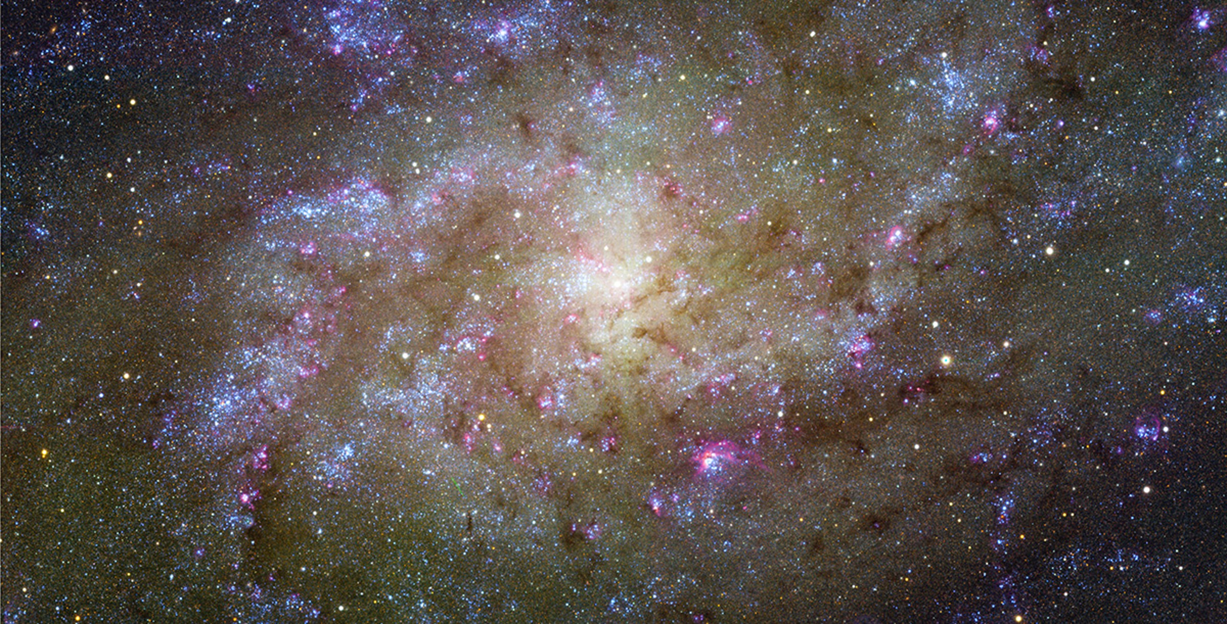 Wendelstein observations of Triangulum Galaxy