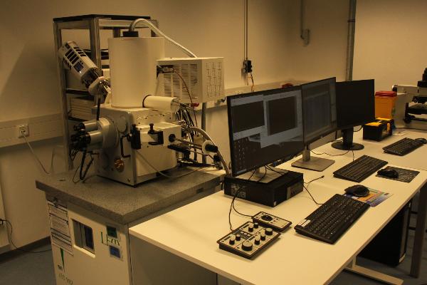 Zeiss DSM 982 SEM