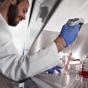 Student pipettiert unter dem Laborabzug ein rotes Medium in eine Petrischale