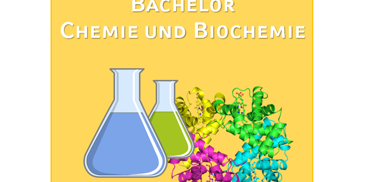 Bachelor Of Science In Chemistry And Biochemistry - Faculty Of ...