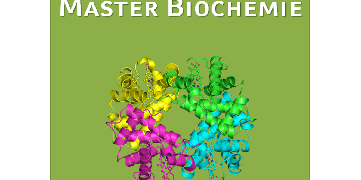 Master Biochemistry - Faculty Of Chemistry And Pharmacy - LMU Munich