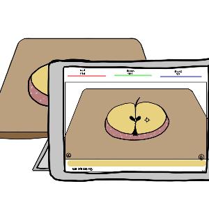 Didaktik Versuch Apfel Verfärbung