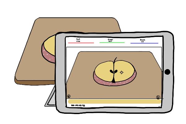 Versuch Apfel Verfärbung