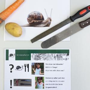 Schneckenstation aus Kinder-Forscherkiste vom MiniMuseum