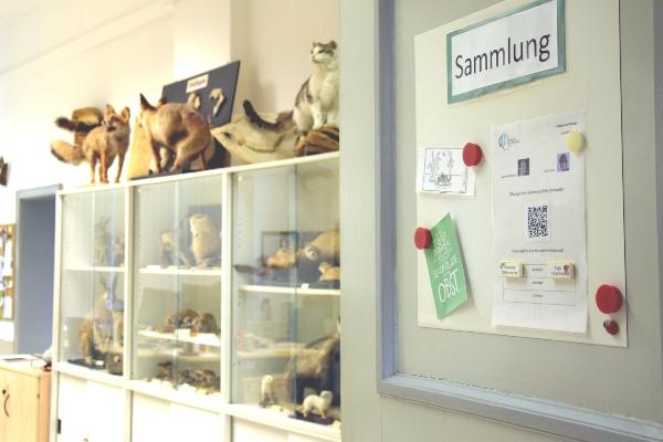 Türe zur Sammlung
