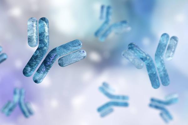 Illustration of blue Y-shaped antibodies floating against a light background.