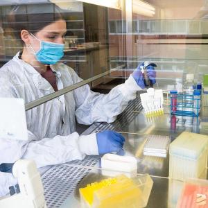 Researcher using a multichannel pipette at a laboratory workbench.