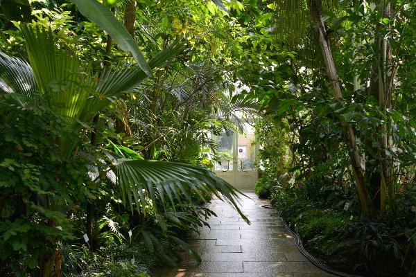 Gewächshaus im botanischen Garten München