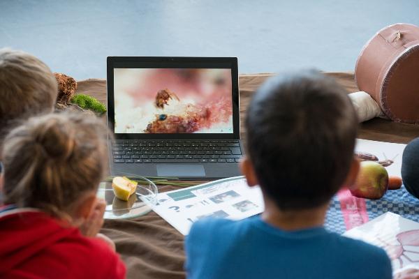 Schülerinnen und Schüler während eines Biologiepraktikums