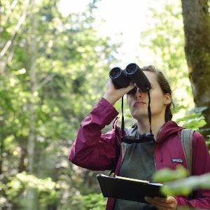 Wissenschaftlerin im Wald mit Fernglas