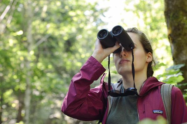 Wissenschaftlerin im Wald mit Fernglas