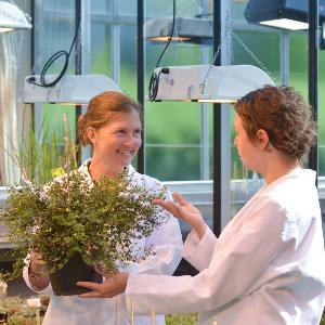 Scientists in the greenhouse
