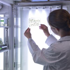 Wissenschaftlerin hält Pflanzenproben | © Carolin Bleese Wissenschaftlerin hält Pflanzenproben