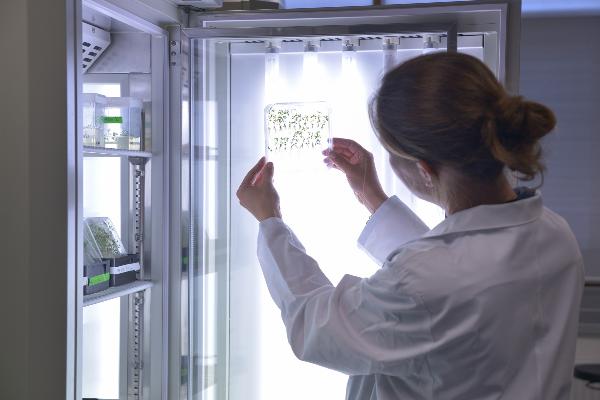 Wissenschaftlerin hält Pflanzenproben